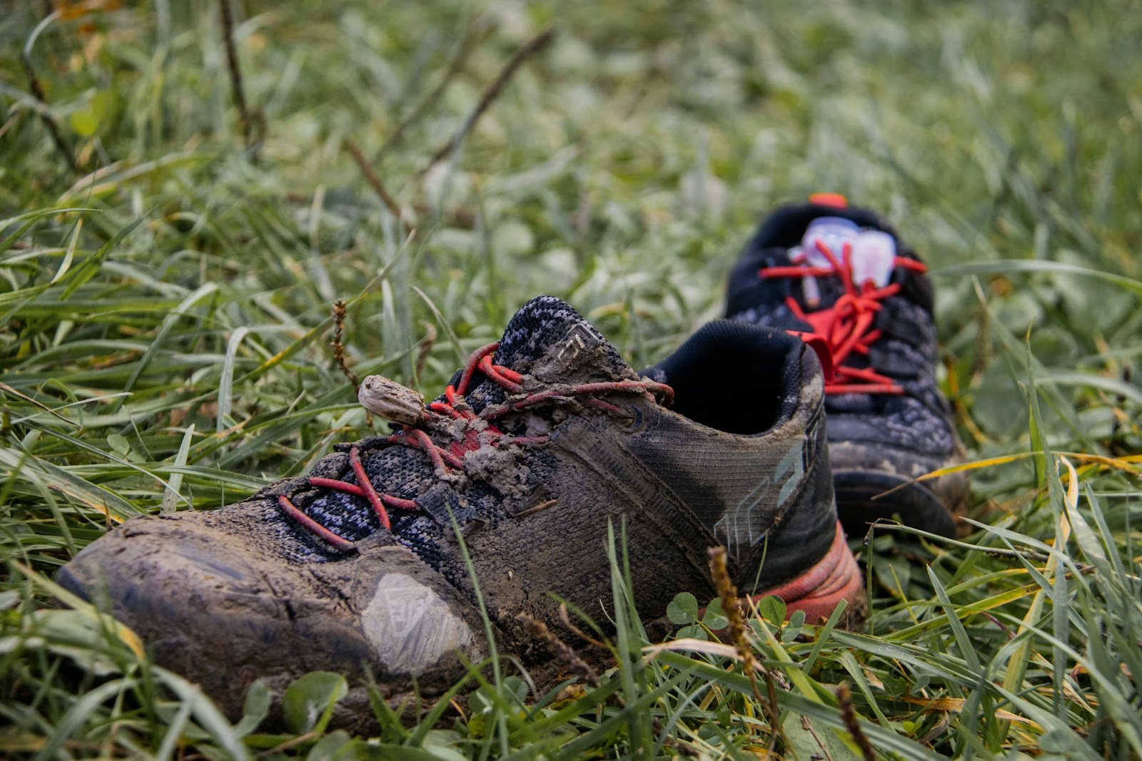Trail Running for Road Runners: How to Make the Switch Without Wrecking Your Spring Base