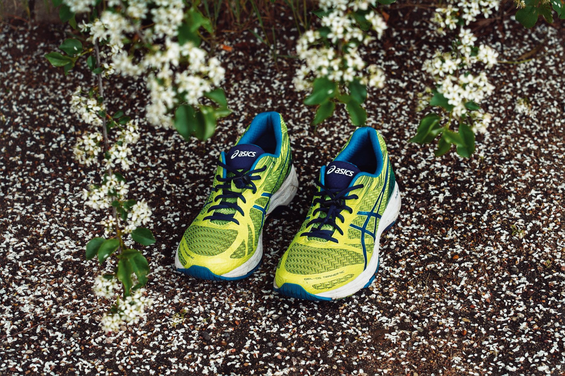 What are the best running shoes for heel strikers in 2026?
